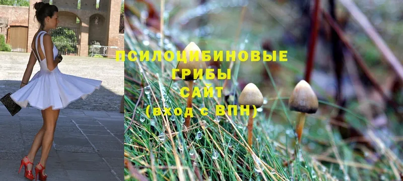 Галлюциногенные грибы MAGIC MUSHROOMS  Электросталь 